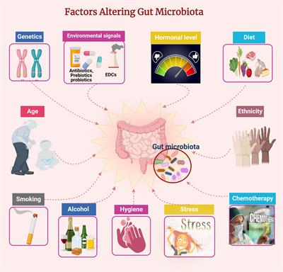 Gut and genital tract microbiomes: Dysbiosis and link to gynecological disorders